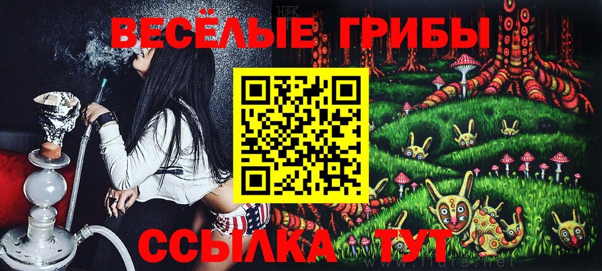 Псилоцибиновые грибы мицелий  Вход с VPN  Ипатово 