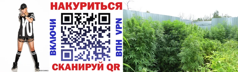 купить  сайты  blacksprut онион  Каннабис Bruce Banner  Ипатово 